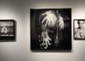 Exhibition 'Strong, strong', at the Instituto Francés. /Photo: JDL