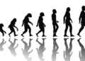 Evolución humana. IstockPhoto