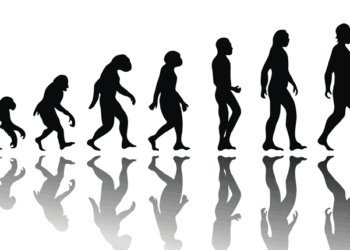 Evolución humana. IstockPhoto