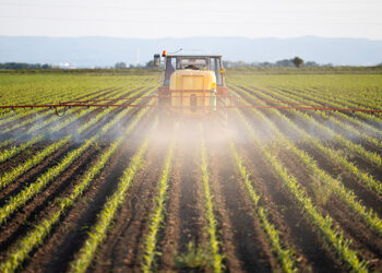 Farmers are affected by the sharp increase in fertilizer costs. /Photo: Istockphoto