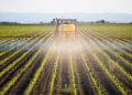 Los agricultores se ven afectados por el fuerte aumento de los costes de los fertilizantes. /Foto: Istockphoto