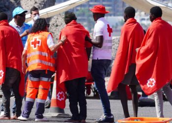 Red Cross workers help migrants at the port of Arguineguín. / Photo: Canary4stock / iStock