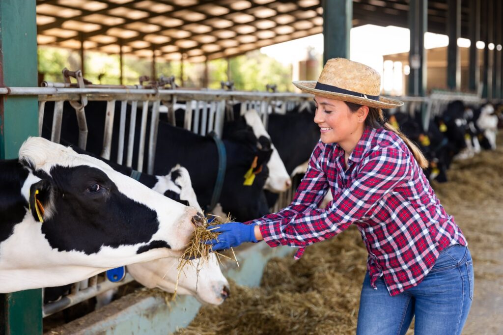 Photo: JackF / iStock