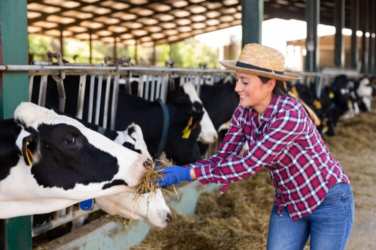 Foto: JackF / iStock