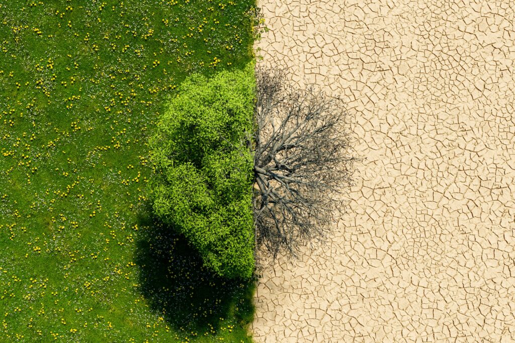 Foto: AntonioSolano / iStock