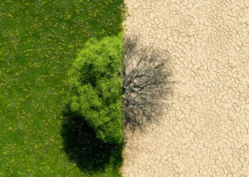 Foto: AntonioSolano / iStock