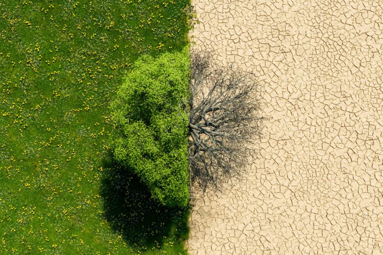 Foto: AntonioSolano / iStock