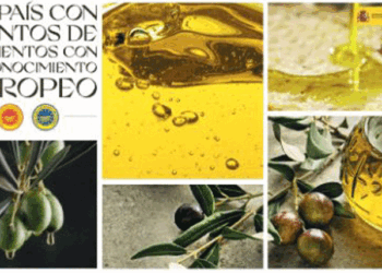 Nuevas Denominaciones de Origen Protegidas. Foto: Ministerio de Agricultura, Pesca y Alimentación