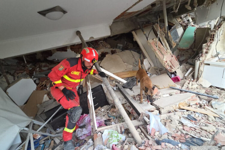A UME soldier with a dog searches through the rubble in Venezuela./ Photo: Ministry of Defense
